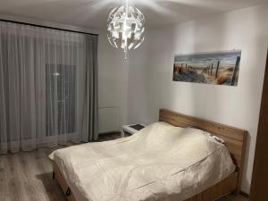 克拉科夫的住宿－Apartament Zlota Jesień 2C，一间卧室配有一张床和一个吊灯