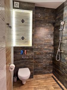 een badkamer met een toilet en een douche bij Penzión Jolla in Červený Kláštor +34 foto's