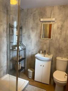 a bathroom with a toilet and a sink and a shower at Boston House- Historic house situated in beautiful market town in Duns