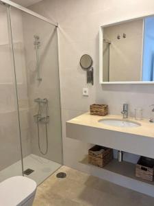 a bathroom with a shower and a sink and a toilet at IDEAL ESTUDIO PARA PAREJAS in Conil de la Frontera