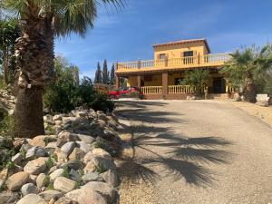 a house with a palm tree and a gravel driveway at Private villa large pool elevated quiet secluded location, near Mojacar in Antas