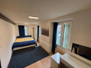 ein Schlafzimmer mit einem Bett und einem großen Fenster in der Unterkunft Swiss Lake Mountains Apartments in Därligen