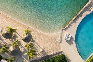 Renaissance Wind Creek Curacao Resort في فيليمستاد: اطلالة علوية على شاطئ به نخيل ومسبح