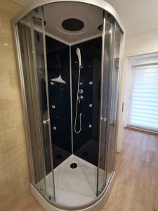 a shower with a glass enclosure in a room at Haus am Nymphensee1 in Brieselang