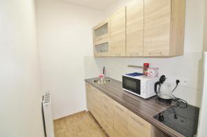 Kuchnia lub aneks kuchenny w obiekcie Apartmany Troll