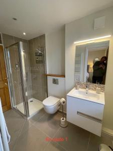 a bathroom with a toilet and a sink and a shower at Corner Cottage in Bewdley