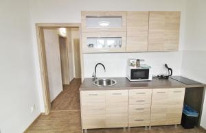 Kuchnia lub aneks kuchenny w obiekcie Apartmany Troll