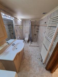 een badkamer met een wastafel, een douche en een toilet bij GEORGE'S VILLA in Galatas