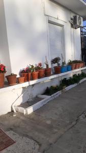 The building in which the holiday home is located
