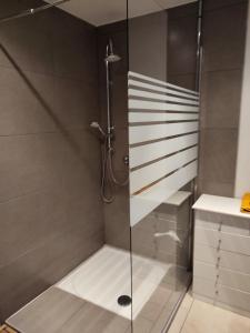 a shower with a glass door in a bathroom at LE CHAMPS DES LIEVRES in Beaumont