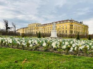 Vonkajšia záhrada v ubytovaní Lovely nest! Just beside SCHÖNBRUNN PALACE and ZOO!