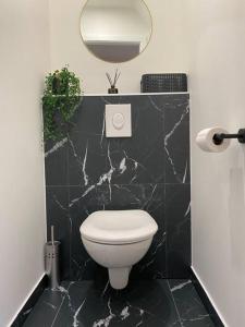 La salle de bains est pourvue de toilettes blanches et d'un miroir. dans l'établissement Duplex By Aurelle 2-Wifi-10 mn centre Strasbourg- proche Parlement Européen, à Schiltigheim