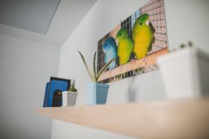 TV a/nebo společenská místnost v ubytování B&B LA MIMOSA E IL GELSOMINO