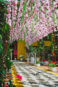 Zahrada ubytování Hotel Mali i Robit