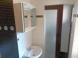 a bathroom with a sink and a glass shower at Papststein in Rathmannsdorf +11 photos