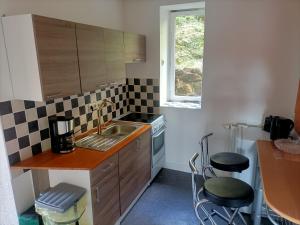 a small kitchen with a sink and a stove at Papststein in Rathmannsdorf
