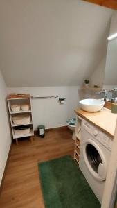 lavadero con fregadero y lavadora en Appartement Duplex dans Résidence VAL DE ROLAND en Luz-Saint-Sauveur