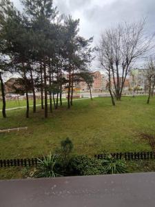 um parque com árvores e um campo de relva em Przytulne mieszkanko em Oświecim