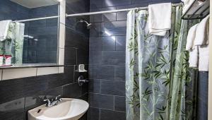 a bathroom with a sink and a shower curtain at Magnuson Grand Harrisburg in New Cumberland