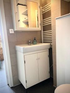 ein Badezimmer mit einem weißen Waschbecken und einem Spiegel in der Unterkunft Quiet & Cosy Studio in Ostende
