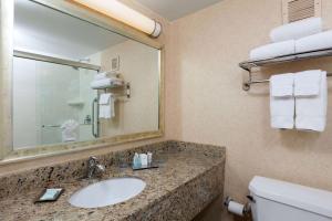 a bathroom with a sink and a mirror and a toilet at Wyndham Boston Beacon Hill in Boston