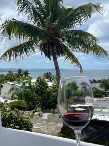 una copa de vino frente a una palmera en Apartamentos La Torre, en Río San Juan