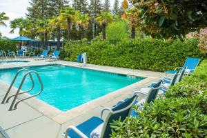 una piscina con sillas azules y una piscina en Fairfield Inn Sacramento Cal Expo en Sacramento