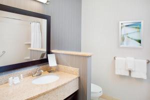 a bathroom with a sink and a toilet and a mirror at Courtyard by Marriott San Antonio SeaWorld®/Westover Hills in San Antonio
