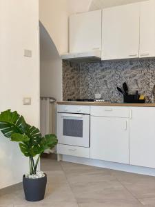 a kitchen with white cabinets and a potted plant at Casa Major in Maiori
