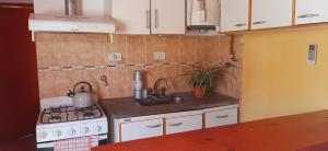 uma pequena cozinha com um fogão e um lavatório em Sophenia em Agrelo
