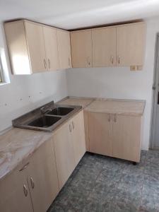 an empty kitchen with a sink and a counter at Gradina Bio AMURTEL 