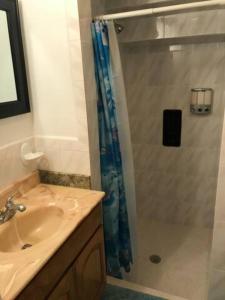 a bathroom with a shower and a sink at San Francisco 2 Bedroom with Parking near BART in San Francisco +11 photos