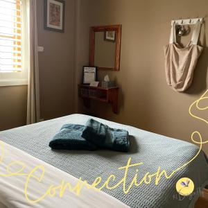 Un dormitorio con una cama con una almohada azul. en KI Dragonfly Guesthouse, en Kingscote