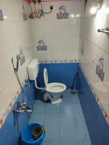 a blue and white bathroom with a toilet in it at smile stone individual cottage in Ooty