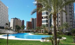 basen z palmą i budynkami w obiekcie Apartment Carmentxu Gemelos 26 w mieście Benidorm
