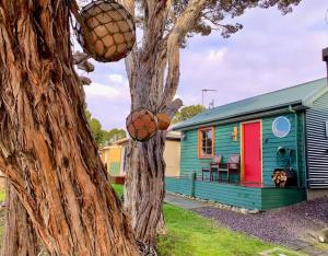 a house with a tree with balls on it at Salt Box Hideaway in Strahan