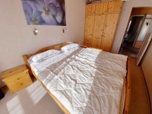 Φωτογραφία από το άλμπουμ του Apartment in Bad Mitterndorf - Steiermark 41122 σε Bad Mitterndorf