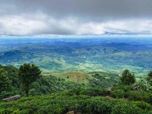 un point de vue pédagogique dans l'établissement Kelburne Estate, à Haputale