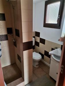 La salle de bains est pourvue de toilettes et d'un lavabo. dans l'établissement Forest House, à Zăbala