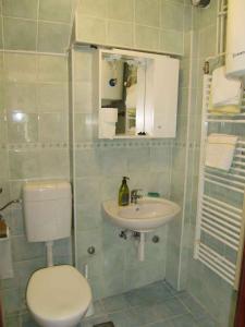 La salle de bains est pourvue de toilettes et d'un lavabo. dans l'établissement Apartment in Cavle 38810, à Čavle