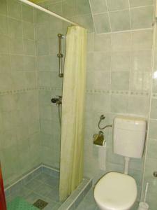 y baño con aseo y ducha. en Apartment in Cavle 38810, en Čavle