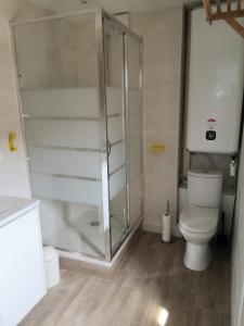 アンティーブにあるspacieux logement vieil antibes climatisé 5 minutes plagesのバスルーム(トイレ、ガラス張りのシャワー付)