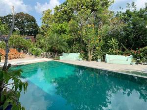 a swimming pool with blue water and trees at Fairy Cottage Kandy in Kandy
