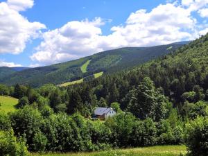 Príroda v okolí horskej chaty