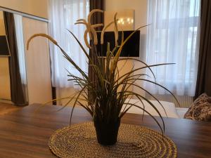 eine Pflanze in einer Vase auf einem Tisch in der Unterkunft Apartments-in-vienna in Wien