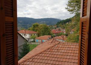 エラティ・トリカラにあるElati Apartmentsの家屋や屋根のある町の景色