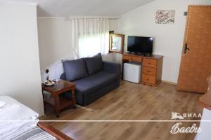 uma sala de estar com um sofá e uma televisão em ВИЛА БАЕВИ em Velingrad
