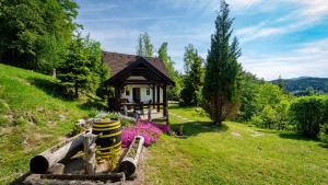 代爾尼采的住宿－Holiday home in Delnice - Gorski Kotar 43959，一座小房子,位于一座小山上,设有花园