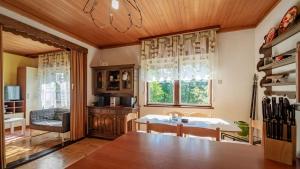 代爾尼采的住宿－Holiday home in Delnice - Gorski Kotar 43959，一间厨房,内设桌子和窗户