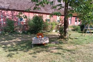 Ein Garten an der Unterkunft Ihr Ferien Hotel Brunnenhof